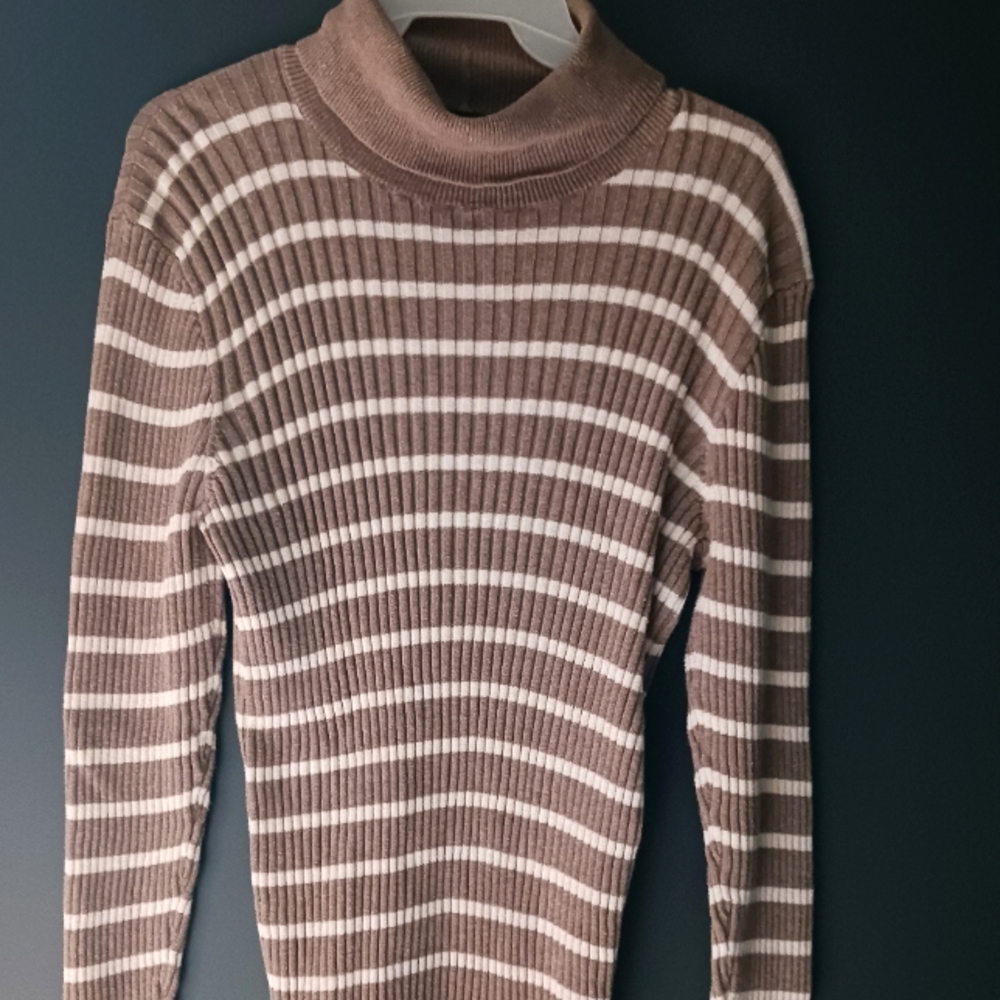 JEANNE PIERRE BROWN AND CREME TURTLE NECK